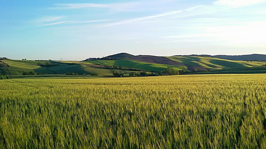 Agriturismo L'Impero Santa Luce Εξωτερικό φωτογραφία