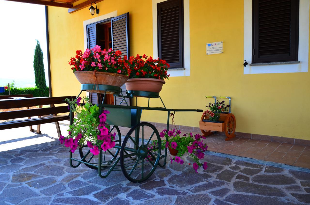 Agriturismo L'Impero Santa Luce Εξωτερικό φωτογραφία
